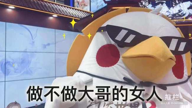 妙趣可莉爆料视频  第2张